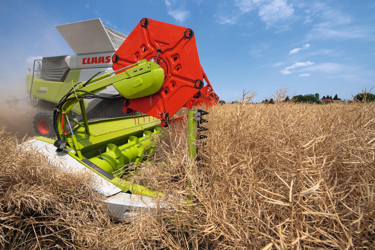 CT AGRO отмечает рост популярности жаток CLAAS CONVIO и CONVIO FLEX