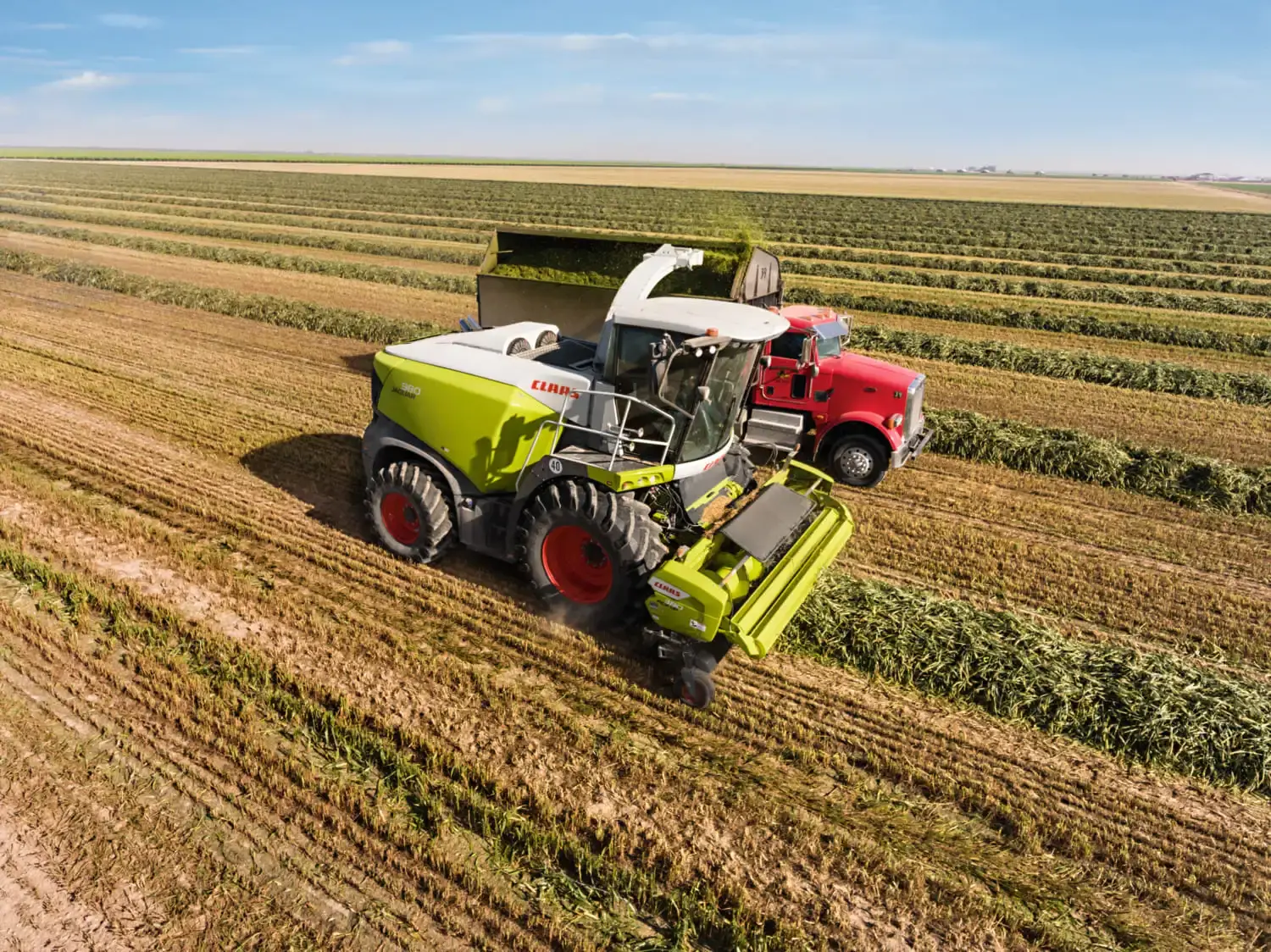 СT AGRO представляет новшества в семействе CLAAS JAGUAR