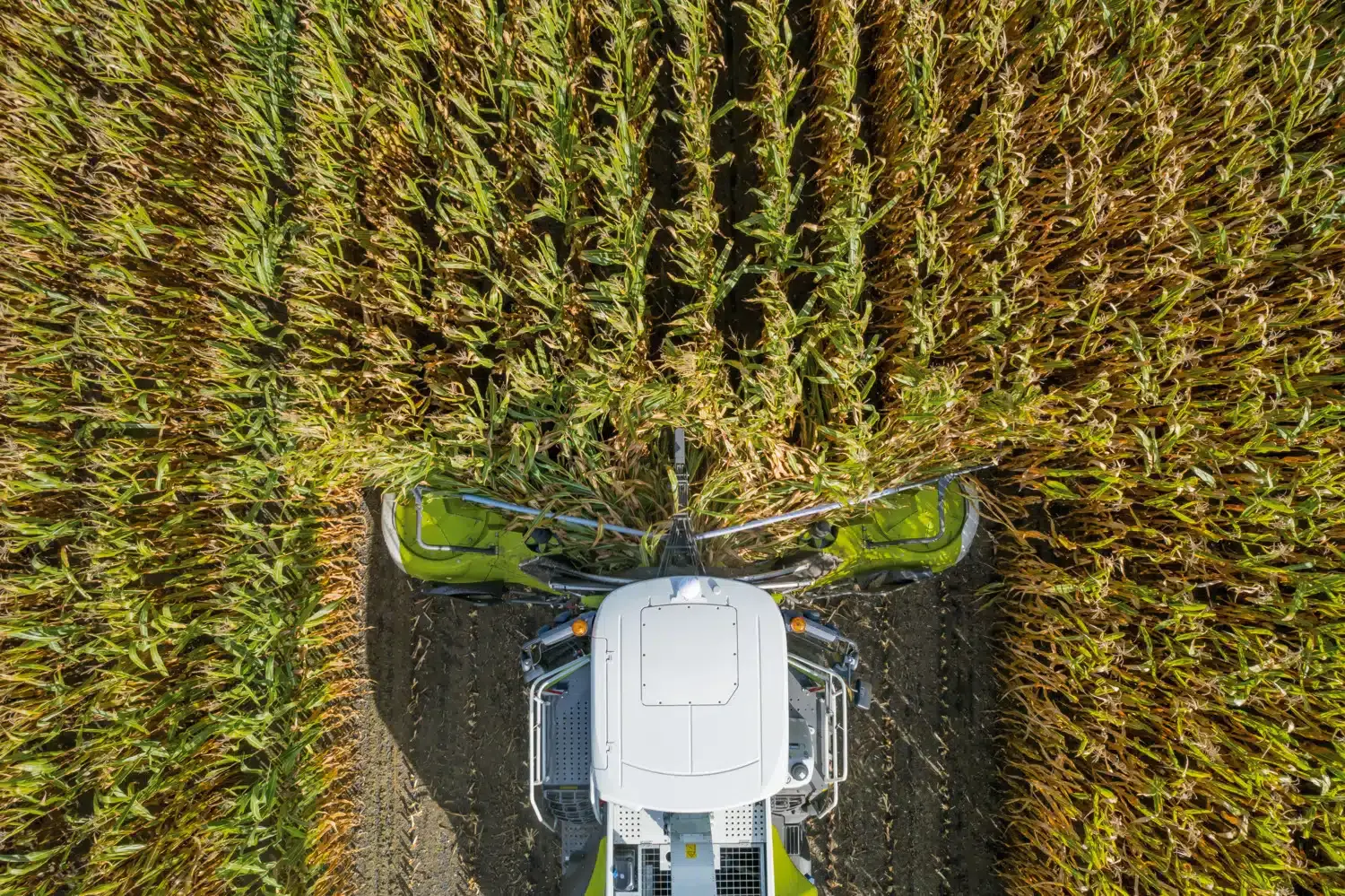 CT AGRO: повышаем качество кормов и снижаем потери вместе с CLAAS