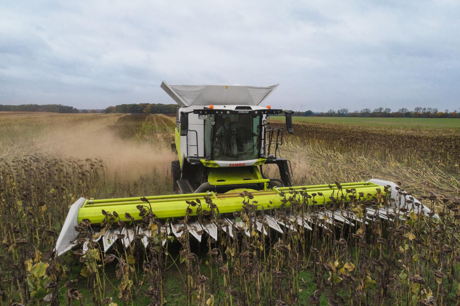 Зерноуборочные комбайны CLAAS TRION выходят в поле